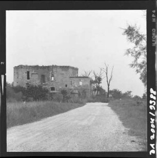 Camargue