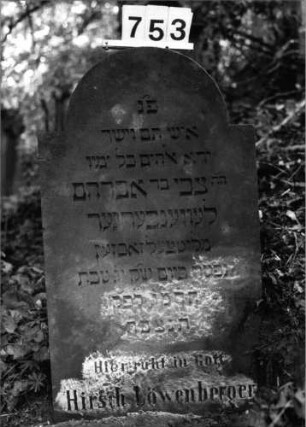 Grabstein 753 (Index: 99802214) Material: Sandstein Zustand: unten leicht verwittert Maße HxBxT: 92x53x12 cm Beschreibung: Stele mit eingezogenem Rundbogen: Grabstein 753