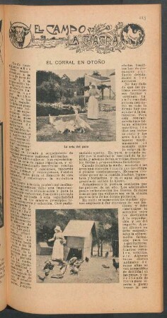 El corral en otoño : El campo y la chacra