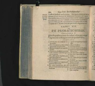 Caput VIII. De Probationibus.