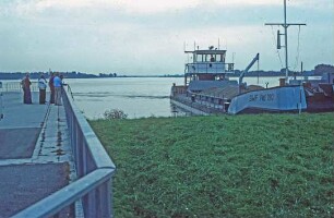 Dichtungsschaden Absperrdamm Iffezheim/Rhein