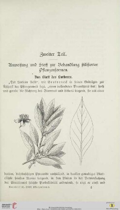 Zweiter Teil