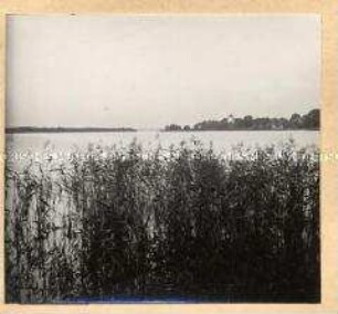 Blick vom Ufer aus auf einen großen See in Masuren