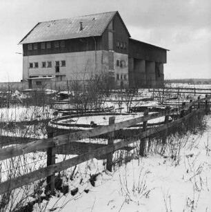 Heinrichshof, Gut: stillgelegte Schweinemastanlage: Mischfutterwerk: vorn Böschung mit Holzzaun und Sträucher: dahinter Siloreste: Winter