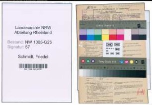 Entnazifizierung Friedel Schmidt , geb. 07.02.1901 (Drogistin)