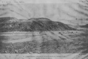 Wüstenlandschaft : Die Landschaft der algerischen Sahara mit dem Rand eines Plateaus