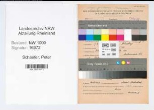 Entnazifizierung Peter Schaefer, geb. 07.09.1901 (Lebensm.Haendler)