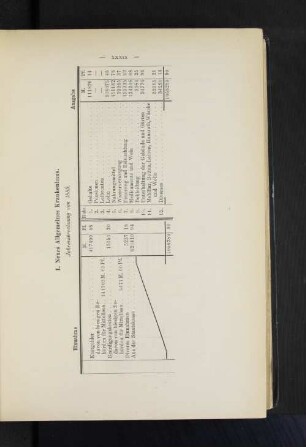 I. Neues Allgemeines Krankenhaus. Jahresabrechnung von 1889.