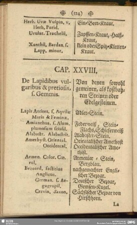Cap. XXVIII. De Lapidibus vulgaribus & pretiosis, s. Gemmis