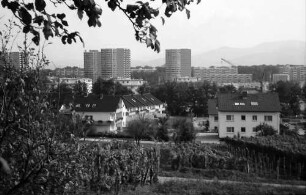 Freiburg, Lehen: Von der Kirchstraße Richtung Landwasser