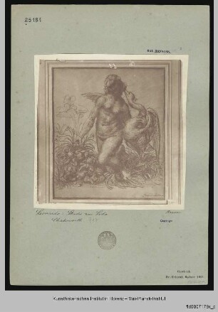 Leda