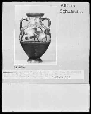 Tyrrhenische Amphora — Sirene zwischen Sphingen