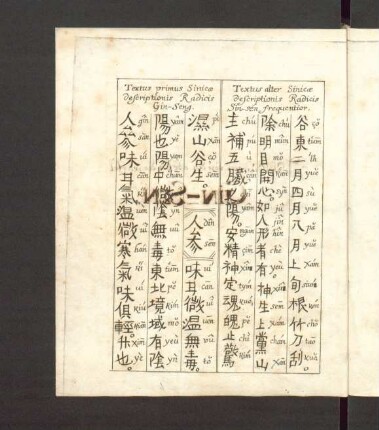 Textus primus Sinicæ Descriptionis Radicis Gin-Seng. Textus alter Sinicæ Descriptionis Radicis Sin-sen frequentior.