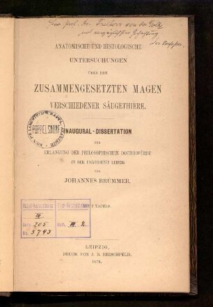 Anatomische und histologische Untersuchungen über den zusammengesetzten Magen verschiedener Säugethiere