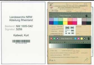 Entnazifizierung Kurt Kallweit , geb. 23.10.1912 (Klempner)