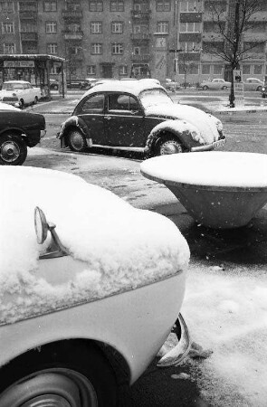 Erster Schneefall.