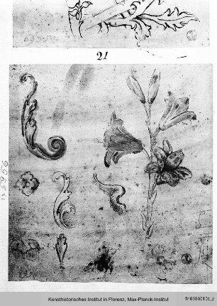 Ornament und Blumen