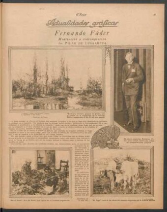 Fernando Fáder. Meditación y contemplación