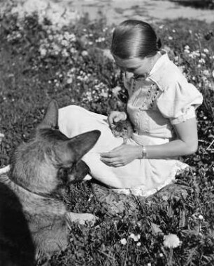 Frau, auf einer Wiese sitzend, mit Schäferhund