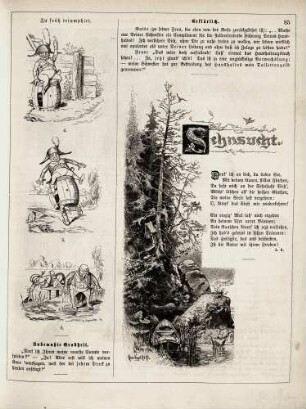 "Zu früh triumphirt" "Sehnsucht"