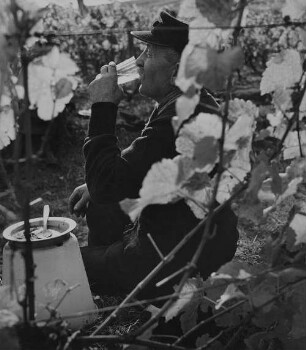 Archivfotografie "arbeit_wein_lese_11340"