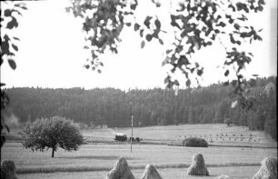 Lok 141, Hermentingen - Hettingen, Laucherttal mit Heu-Heinzen und Erzenbarnfelsen