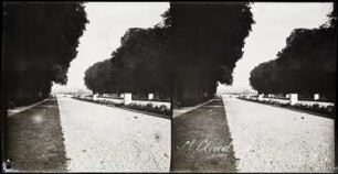 Saint-Cloud. Schlosspark