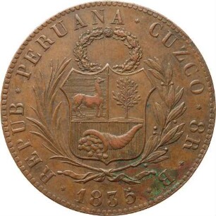 8 Reales - Probe