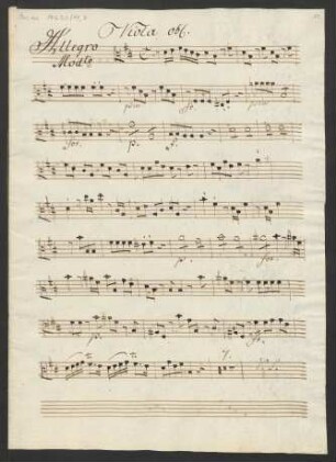 Viola obl.