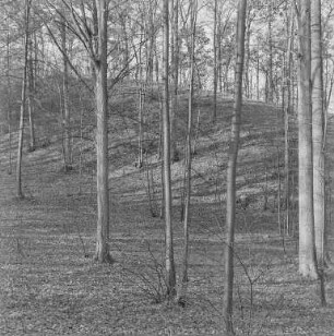 Schanze Coblenz : Coblenzer Schanze