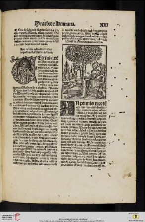 De arbore Humana