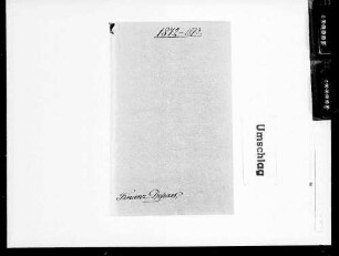 Berichte (1872-1873)