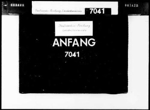Erlassung einer ortspolizeilichen Vorschrift über Mietkraftwagen