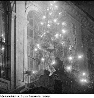Weihnachtsbaum
