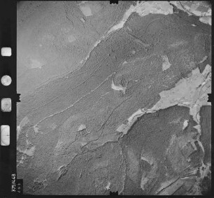 Luftbild: Film 29 Bildnr. 451