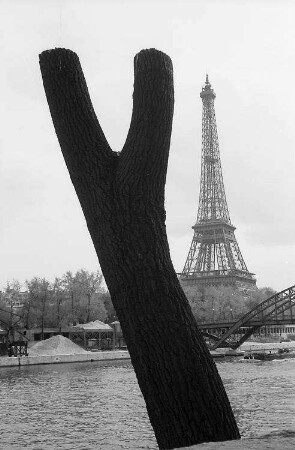 Paris: Eiffelturm, Vordergrund Baumstumpf