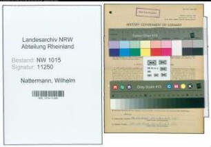 Entnazifizierung Wilhelm Nattermann , geb. 28.03.1903 (Schneider)