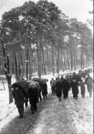 Berliner auf der Suche nach Brennholz
