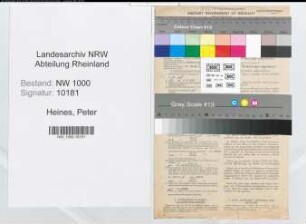 Entnazifizierung Peter Heines, geb. 06.02.1906 (Ingenieur)