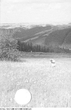 Sommer, Mädchen mit Wollhandgras, mit Kamera und mit Erdbeeren, Skisprungschanze im Sommer