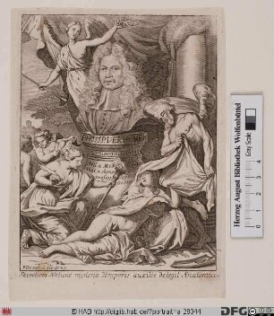 Bildnis Philips Verheyen
