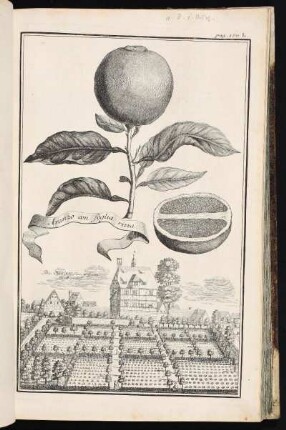 p. 190b Das Obere Schlösslein u. Garten in Mögeldorf. - Herrensitz Lincksches Schloss, Nürnberg-Mögeldorf
