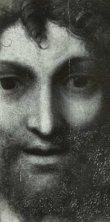 Die Madonna des heiligen Franziskus
