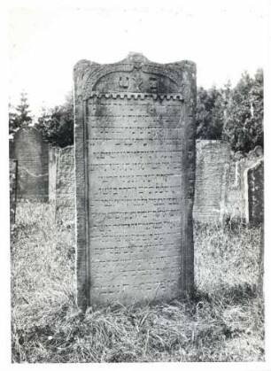 Neckarbischofsheim, HD; Jüdischer Friedhof, Grabstein