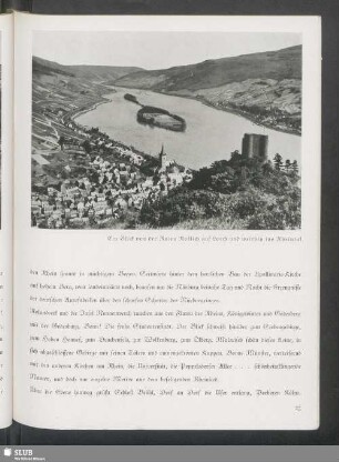 Ein Blick von der Ruine Rollich auf Lorch und weithin ins Rheintal