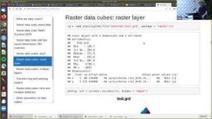 Handling and analysing vector and raster data cubes with R