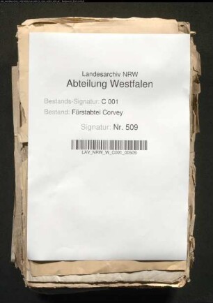 Feier der Jubiläumsjahre mit zahlreichen gedruckten päpstlichen Verordnungen und Ablässen