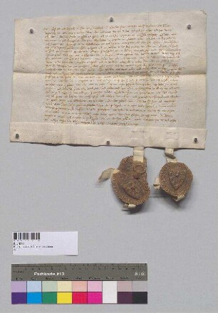 Die Grafen Bernhard und Heinrich von Leonsberg überlassen den Augustinerinnen von Niederviehbach alle ihre Lehen in den Hofmarken Niederviehbach und Wocka sowie weitere Wiesen, Weingärten, Eigenmänner u.a. Den Hof zu Hag [Haag bei Frontenhausen oder Niederaichbach?] nehmen die Grafen jedoch von ihrer Schenkung aus.;. S1: Herzog Otto [III. von Bayern]; S2: Herzog Stephan [I. von Bayern]; S3: Graf Bernhard von Leonsberg; S4: Graf Heinrich von Leonsberg