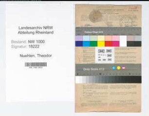 Entnazifizierung Theodor Nuehlen, geb. 15.03.1906 (Automechniker)