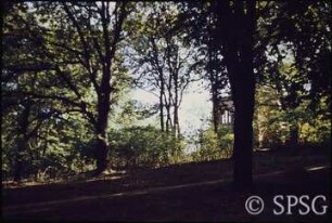 Potsdam, Park Babelsberg, Blick zur Gerichtslaube von Norden.
